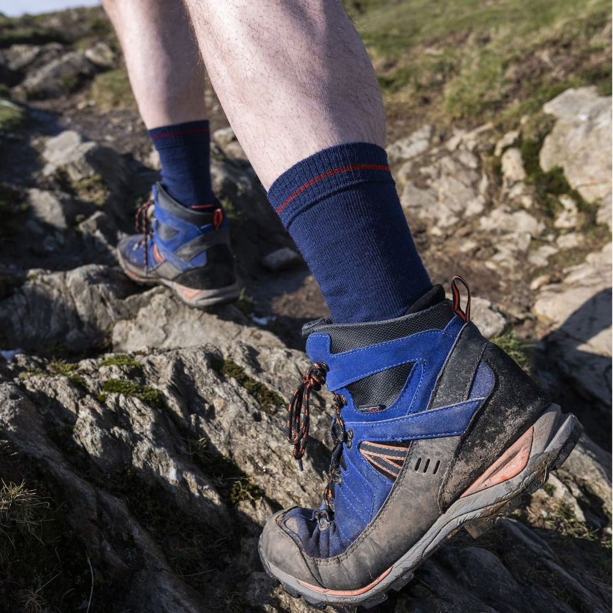 Navy crew hiking socks with red-striped cuffs, worn with blue/gray hiking shoes
