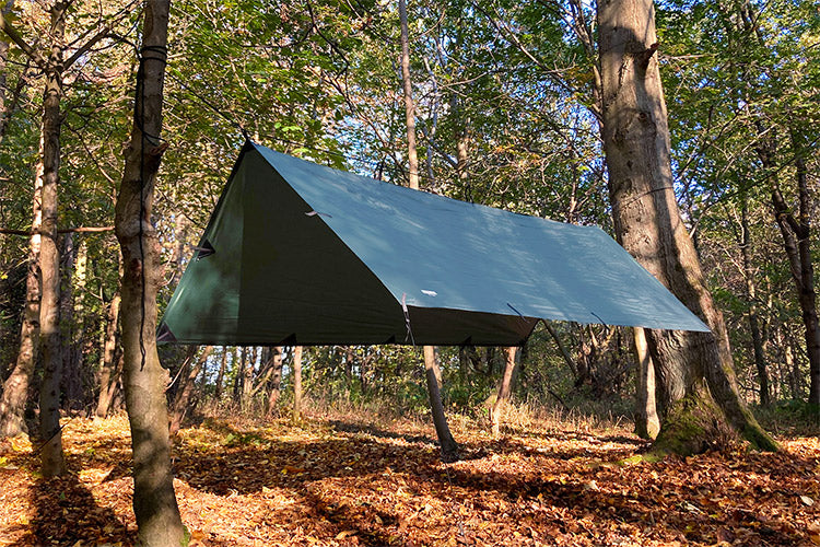 Two-tone camping tarp stretched between trees, dark side with light roof panel
