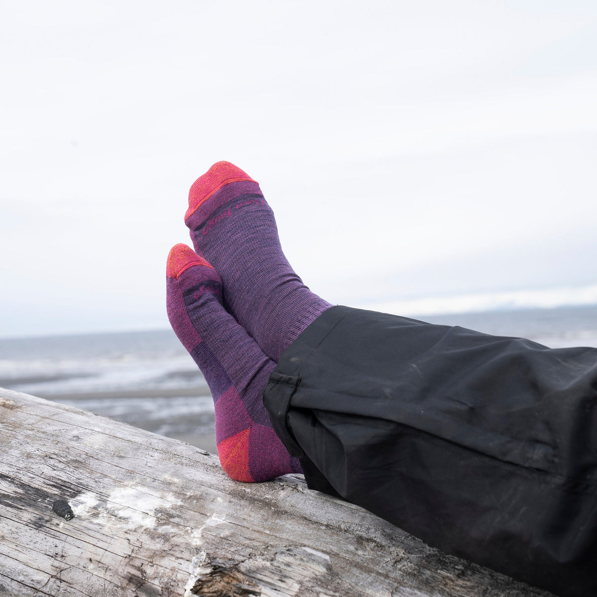 Plum micro crew hiking socks with red toe and heel panels