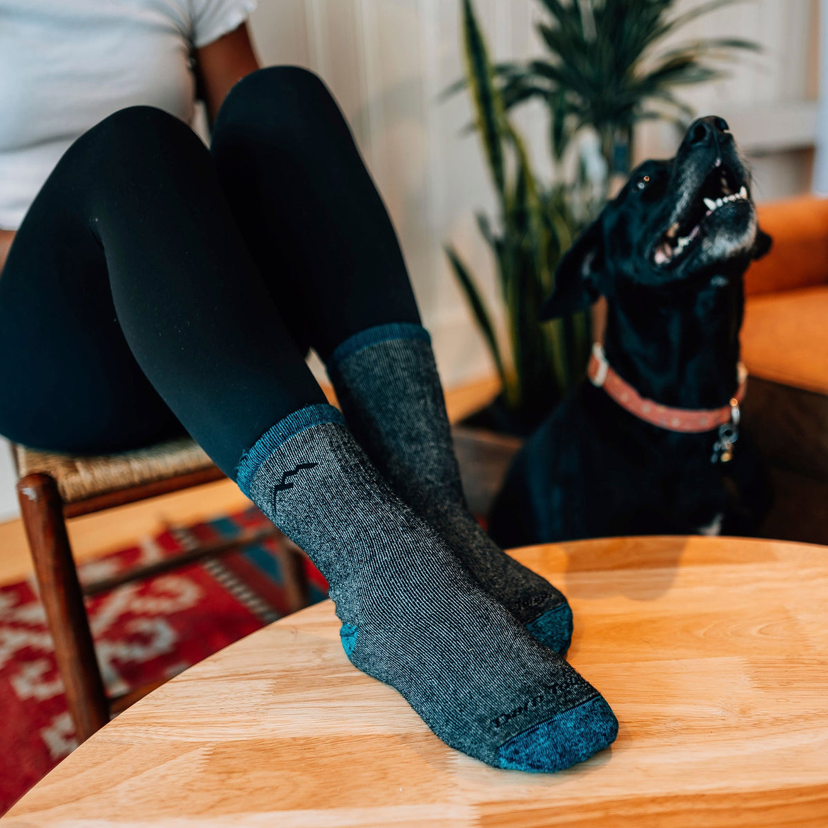 Merino hiking socks, dark gray with blue trim, worn while seated near a table