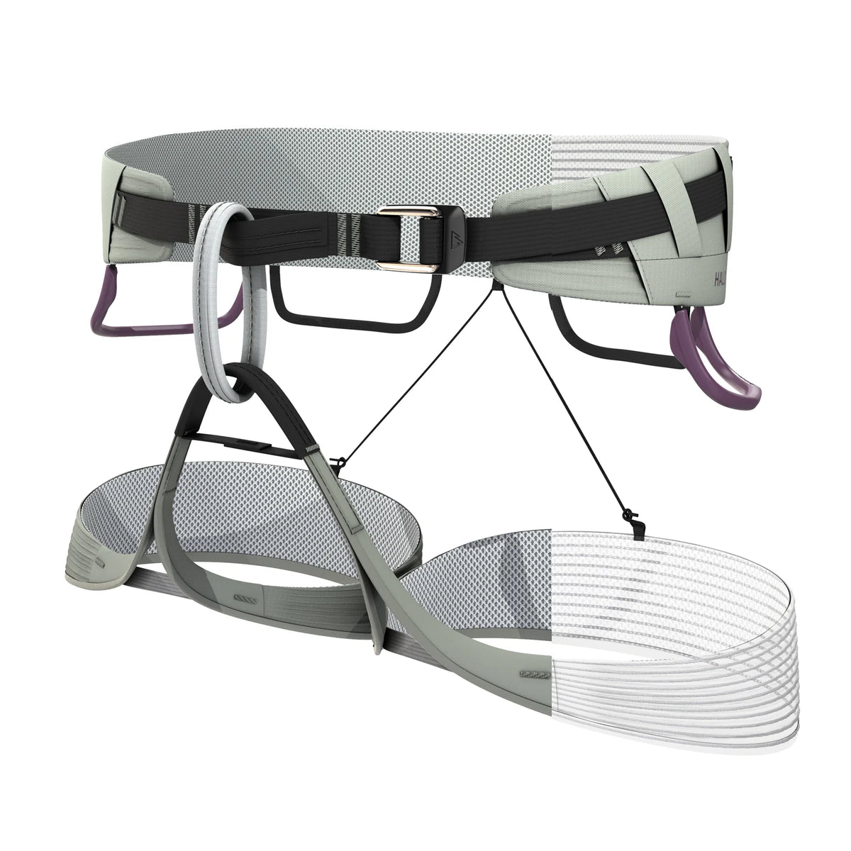 Gray climbing harness with black straps, leg loops, and attachment points with purple accents